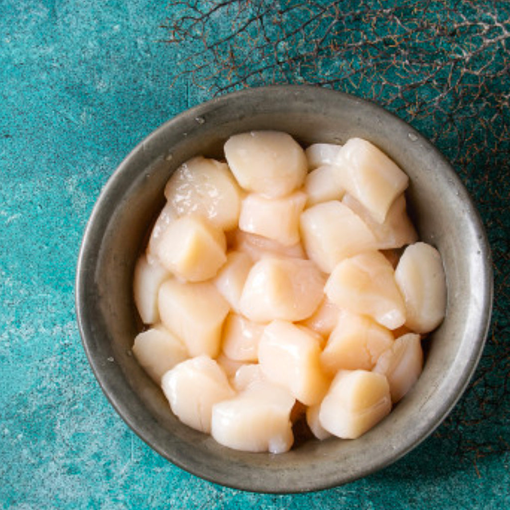 North Atlantic Canadian Scallops 1 lb Bag Protein2U